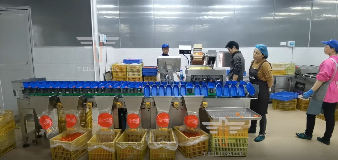 Touch Screen multi Grad-Kreisgewichts-sortierende Maschine für Eigelb-Fisch-Früchte