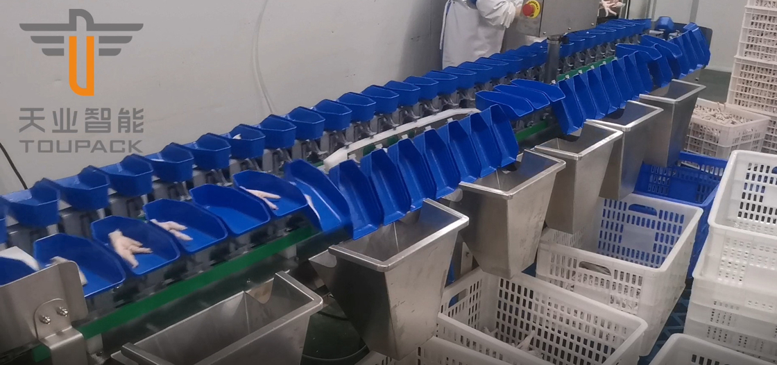 Touch Screen multi Grad-Kreisgewichts-sortierende Maschine für Eigelb-Fisch-Früchte