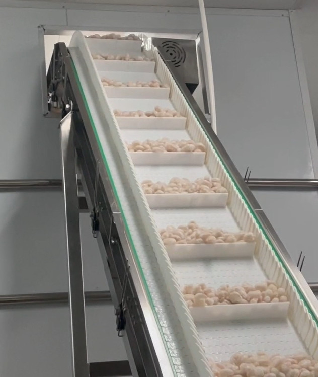 Wäger-Verpackungsmaschine-eisige Garnelen-Werkstatt-verpackendes System-Ziel-Gewicht 200g~1500g SS 304