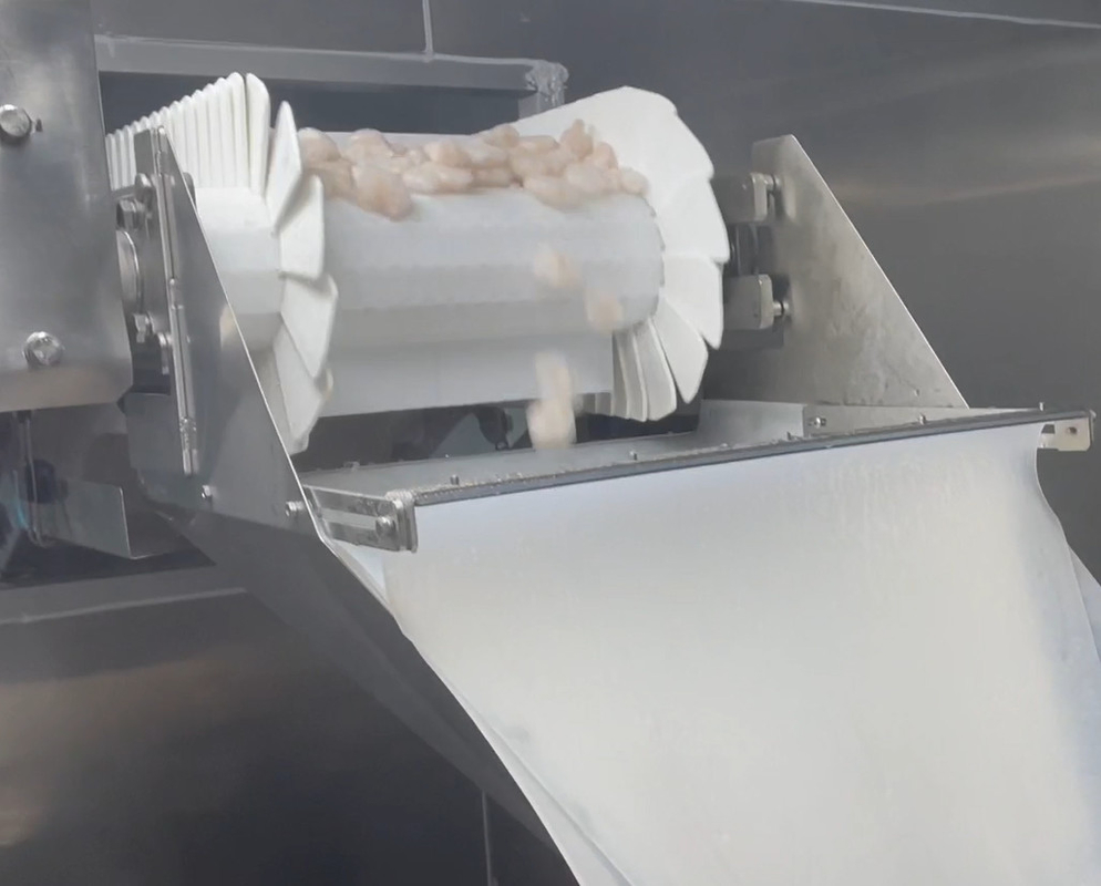 Wäger-Verpackungsmaschine-eisige Garnelen-Werkstatt-verpackendes System-Ziel-Gewicht 200g~1500g SS 304