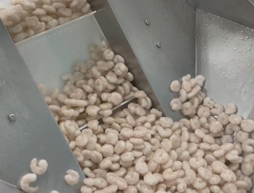 Wäger-Verpackungsmaschine-eisige Garnelen-Werkstatt-verpackendes System-Ziel-Gewicht 200g~1500g SS 304