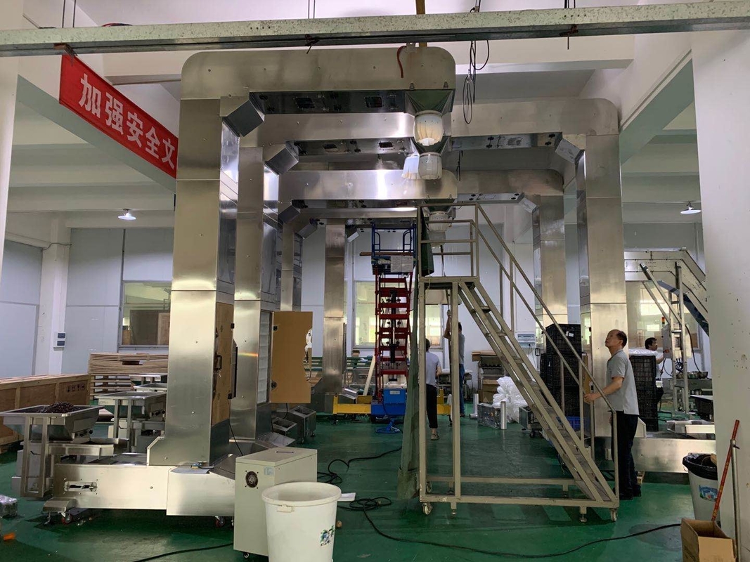 kundengebundene z-Art Becherwerkfunktion mit multihead Wäger-Verpackungssystem