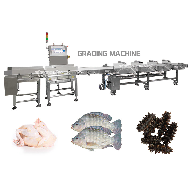 SUS 316 Gewichts-sortierende Maschine für Meeresfrüchte-Fisch-Frucht-Gemüse