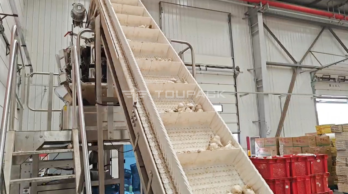 OEM Automatische Waage Tasche Bohnen Sprossen Koriander Kartoffel Knoblauch Baby Karotten Verpackungsmaschine