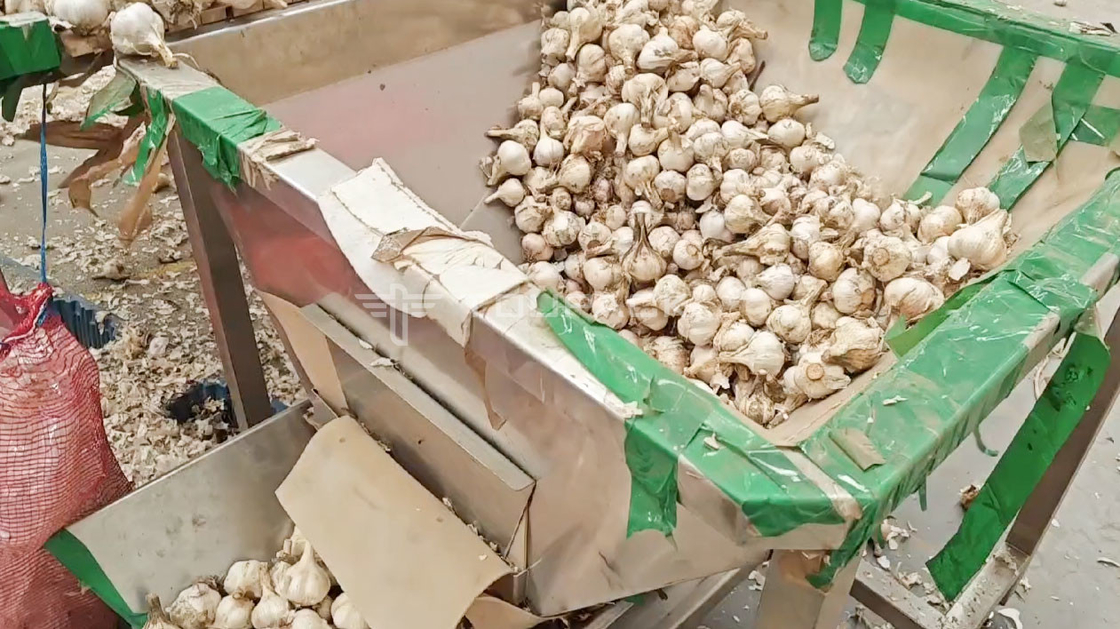 OEM Automatische Waage Tasche Bohnen Sprossen Koriander Kartoffel Knoblauch Baby Karotten Verpackungsmaschine