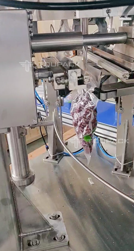 Automatische Drehbeutelfüll- und Dichtmaschine für Doypack vorgefertigte Stehbeutel Rot Jujube