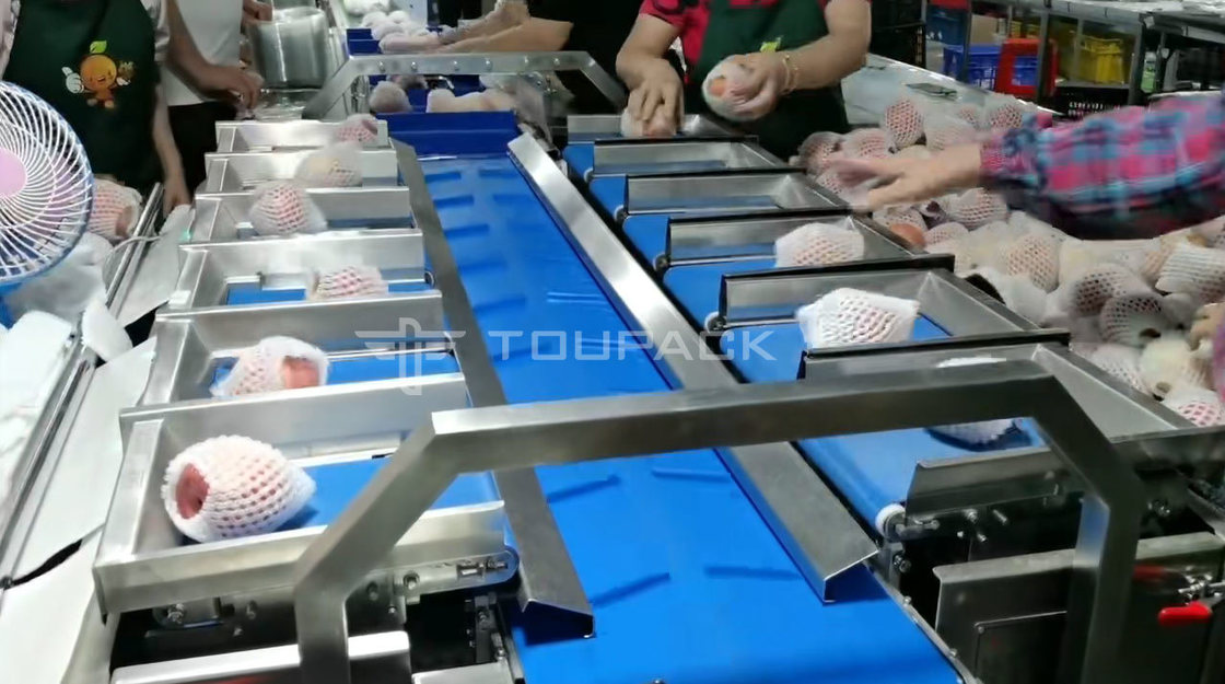 Kissenrollen Verpackungsmaschine Birne Apfel Gewichtskombination Skala Obstkombination Wieger Hochpräzisionsverpackungsmaschine