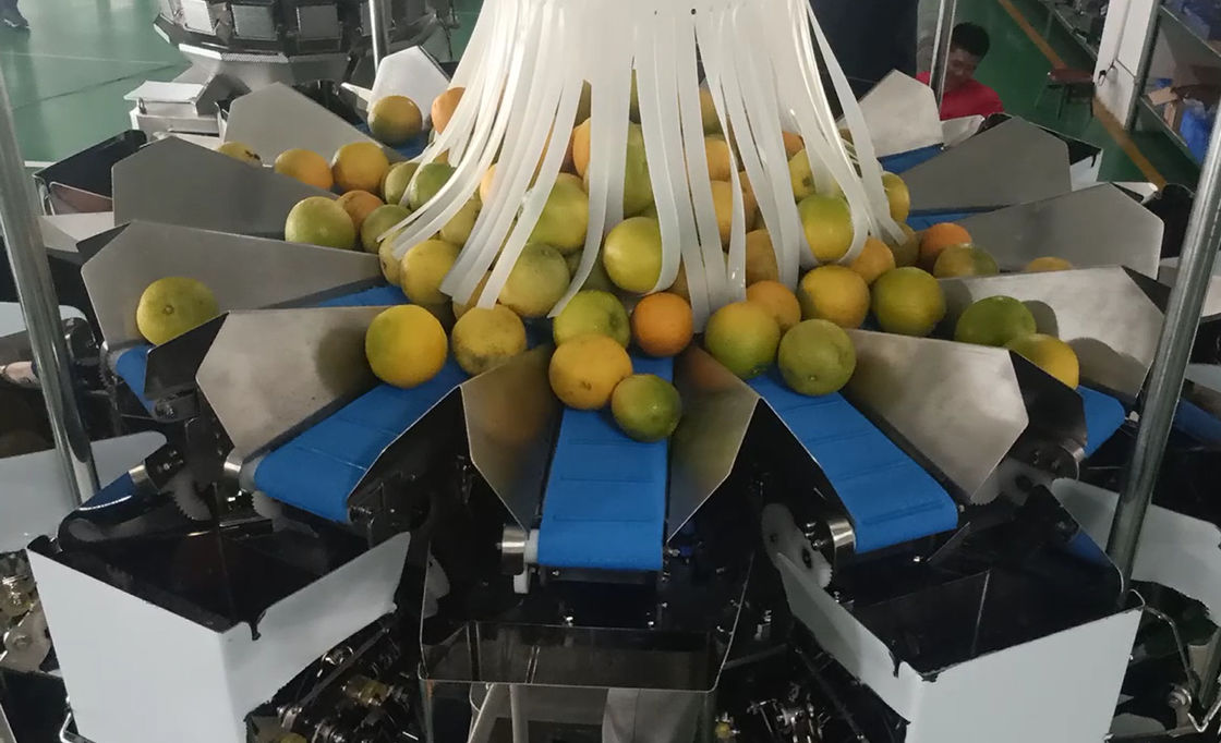 14 trägt Haupt-Wäger-Verpackungsmaschine Multihead MCU/PLC für Weiging Orangen Früchte