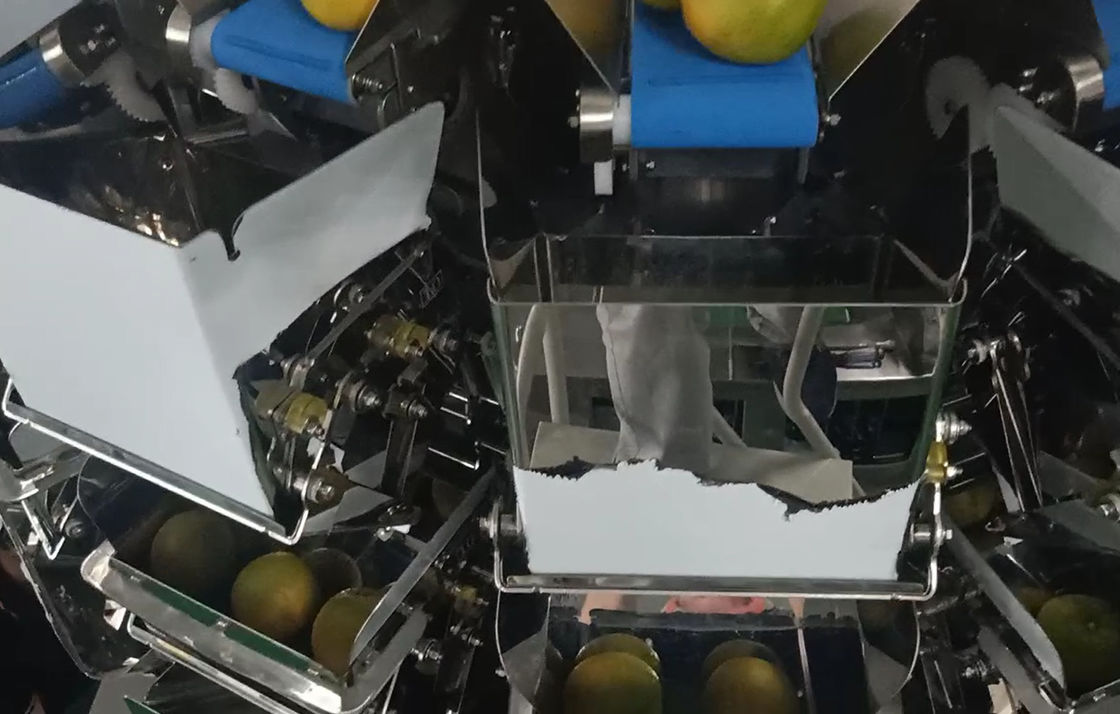 14 trägt Haupt-Wäger-Verpackungsmaschine Multihead MCU/PLC für Weiging Orangen Früchte
