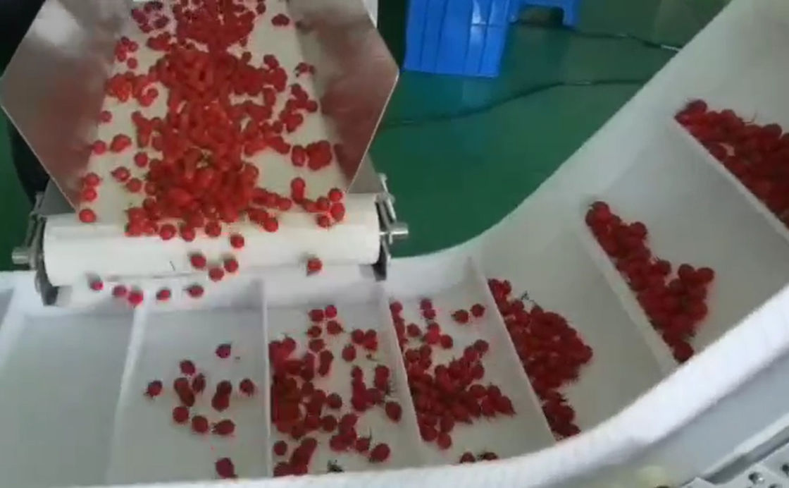 Wäger-wiegendes SUS304 Multihead und Selbstverpackungssystem für Cherry Frozen Fruits In Boxes