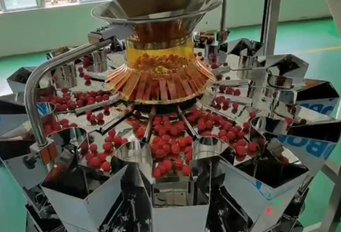 Wäger-wiegendes SUS304 Multihead und Selbstverpackungssystem für Cherry Frozen Fruits In Boxes