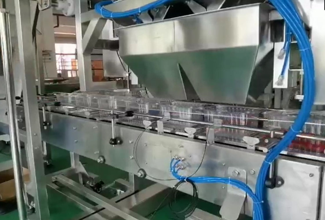 Wäger-wiegendes SUS304 Multihead und Selbstverpackungssystem für Cherry Frozen Fruits In Boxes