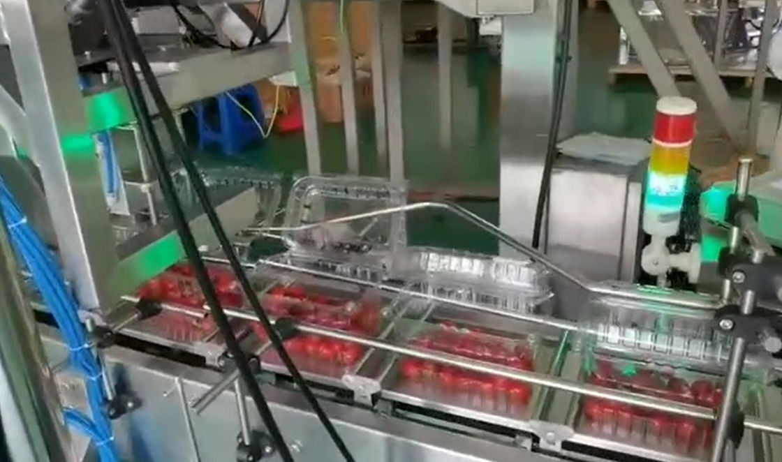 Wäger-wiegendes SUS304 Multihead und Selbstverpackungssystem für Cherry Frozen Fruits In Boxes