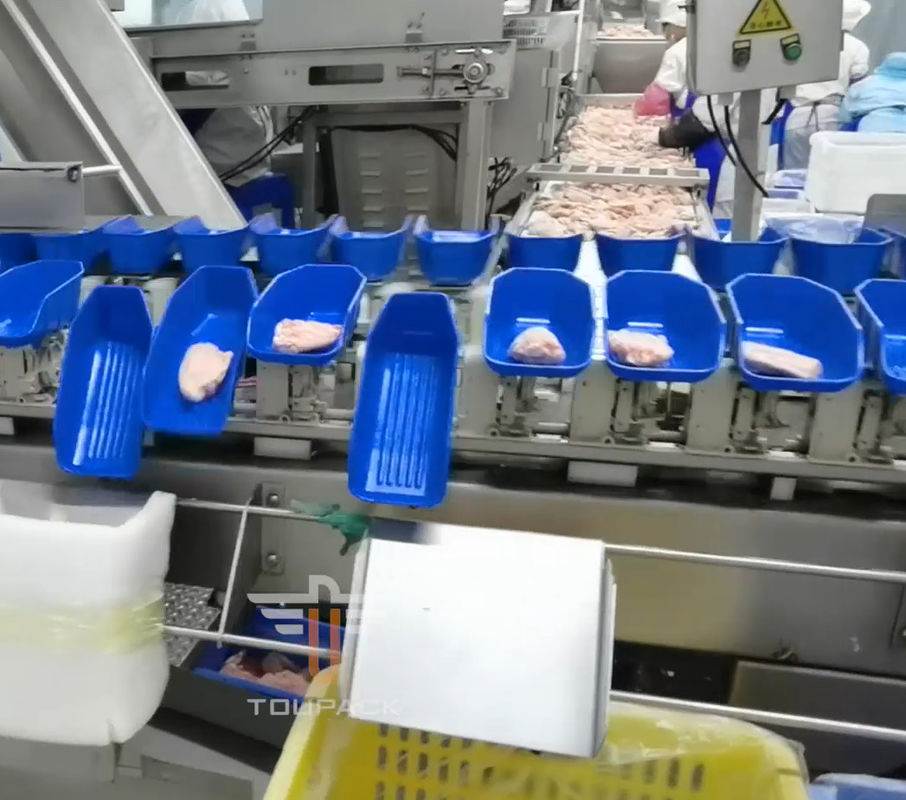 Sicherheits-kreisförmiges multi Hauptgewichts-sortierende Maschine für Meeresfrüchte 300mal/Minute