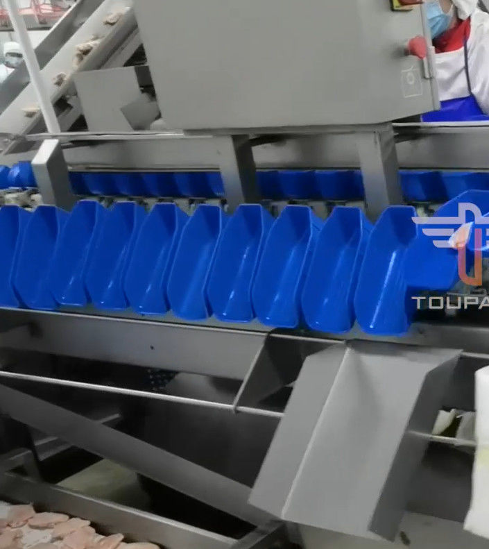 Sicherheits-kreisförmiges multi Hauptgewichts-sortierende Maschine für Meeresfrüchte 300mal/Minute