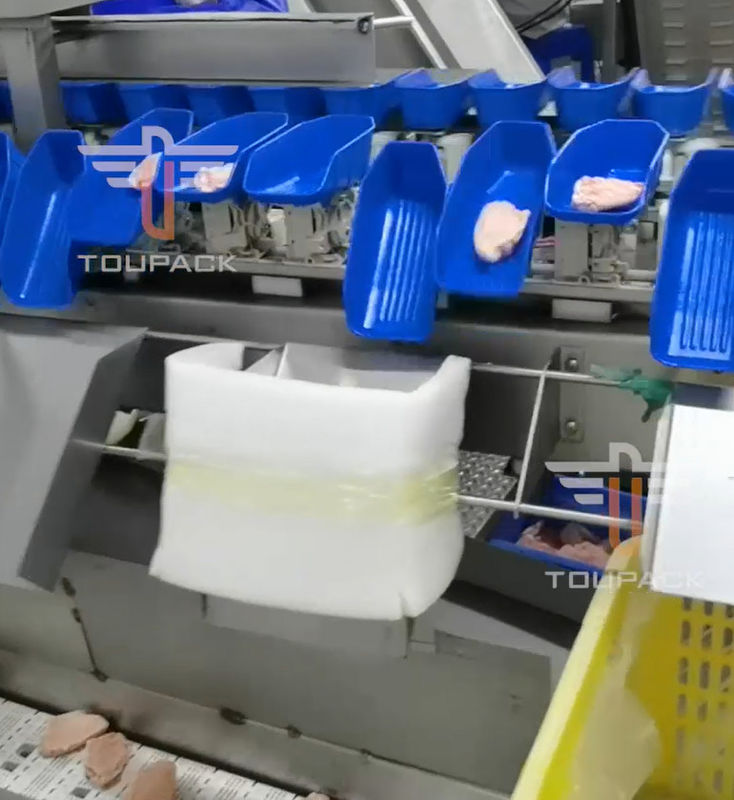 Sicherheits-kreisförmiges multi Hauptgewichts-sortierende Maschine für Meeresfrüchte 300mal/Minute