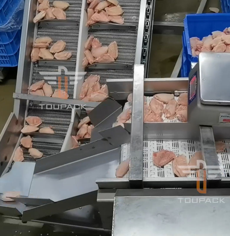 Sicherheits-kreisförmiges multi Hauptgewichts-sortierende Maschine für Meeresfrüchte 300mal/Minute