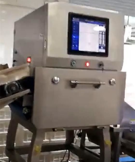 1 Detektor Microsievert/H X Ray Food Inspection Systems SUS304 für Chips Nuts