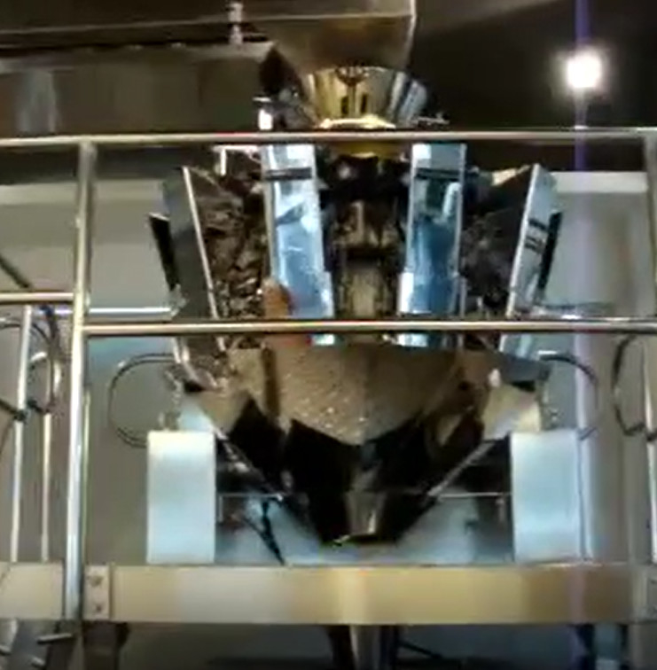 Haupt-Multihead Wäger 60BPM 10 für Imbiss-Chips 5L 2,5 L 1,6 L