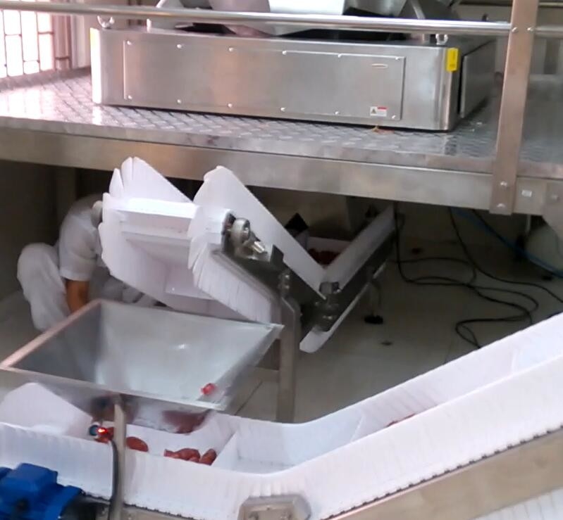 Trichter 5000g Multihead-Wäger-Verpackungsmaschine für Nahrungsmittelfabrik-Industrie 60 BPM-Zucker