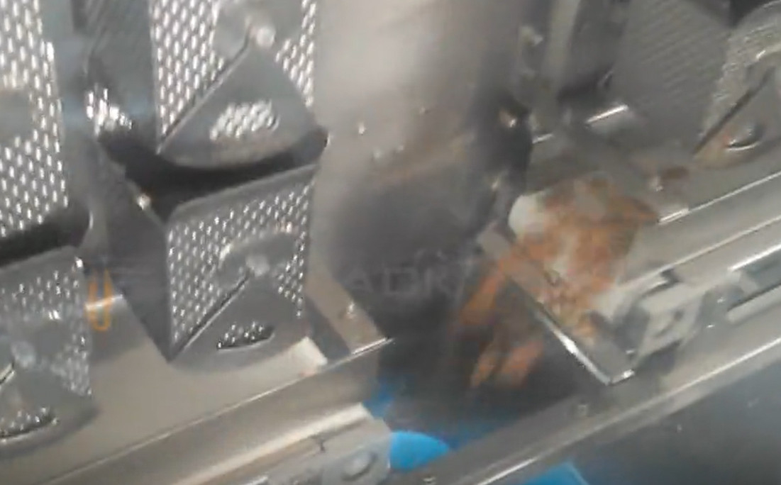 MCU-Steuermulti Hauptwäger für das gekochte Fleisch, das Tasche/Minute des Schnellimbiss-50 füllt