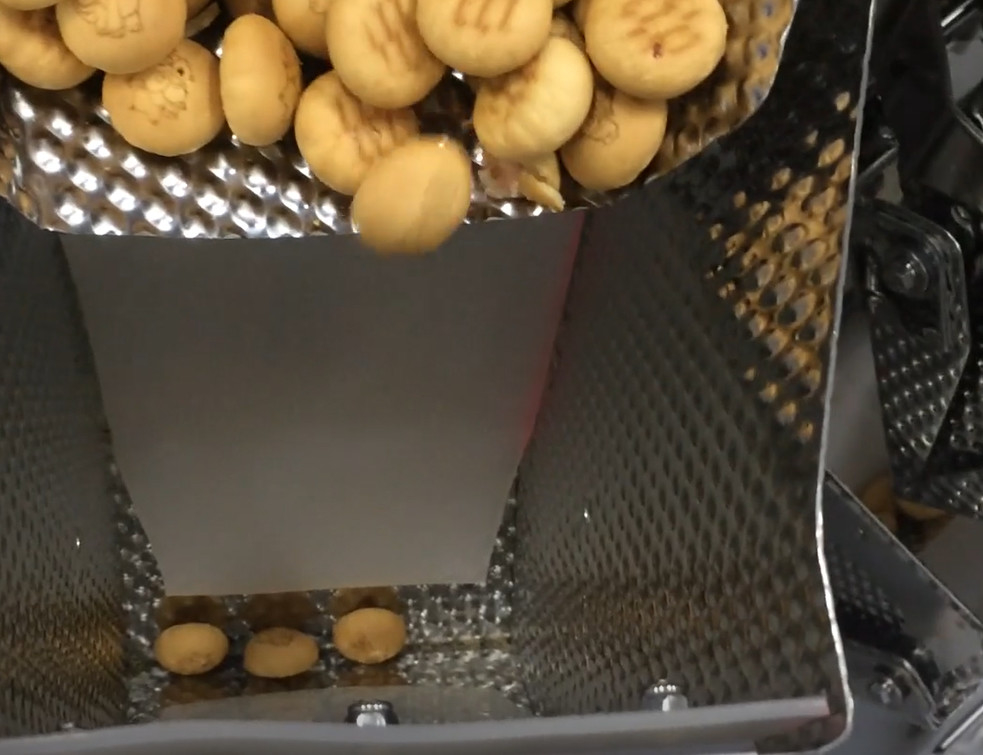 Automatische vertikale Formen/Füllen/Versiegelnverpackmaschine VFFS für PulverKaffeebohne
