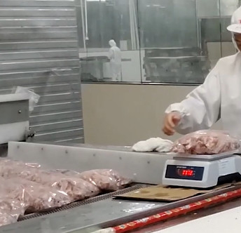 20 Tasche/Min Multihead Weigher Packing Machine für eisiges Fleisch-Knochen-Produkt