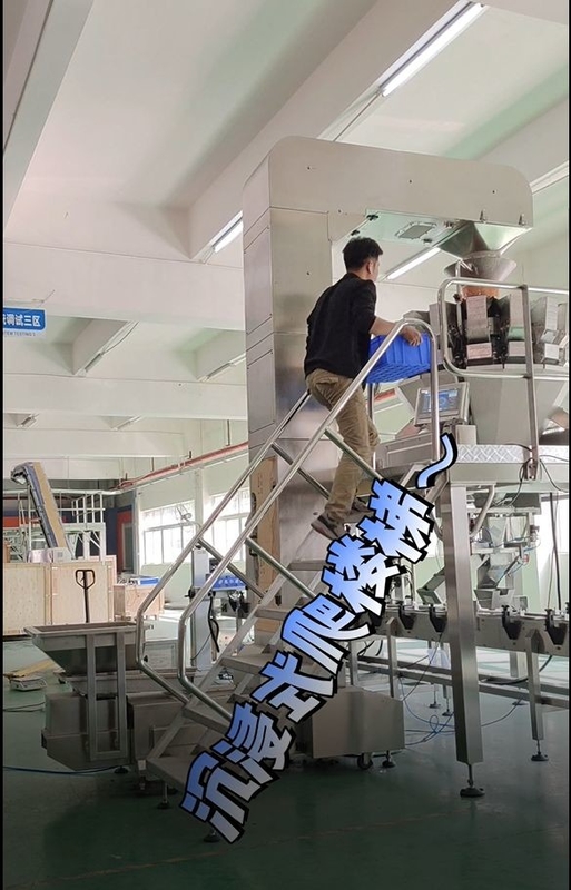 Neigungseimer-Fördererfunktion des Edelstahls Z mit 10/14 Köpfe multihead Wäger
