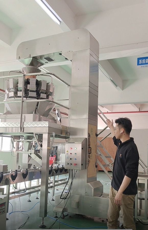 Neigungseimer-Fördererfunktion des Edelstahls Z mit 10/14 Köpfe multihead Wäger