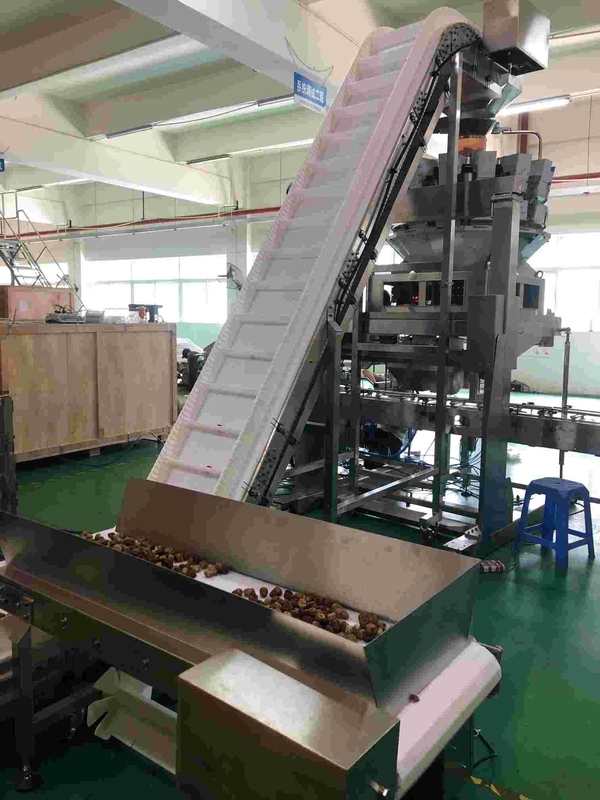 Verpackungsmaschine-Nahrungsmittelgrad-Cherry Tomato Stainless Steel Swan-Hals der Nuss-20m/min, der Förderer kippt