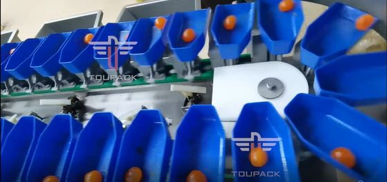 Touch Screen multi Grad-Kreisgewichts-sortierende Maschine für Eigelb-Fisch-Früchte