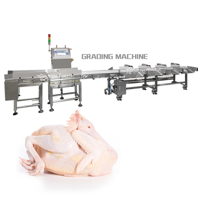 Automatisches Gewichts-sortierende Maschinen-Hühnerganzes Fleisch-Sortiermaschine PLC