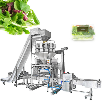 14 Eimer Obst- und Gemüseverpackungsmaschine mit Mehrkopf-Wagen