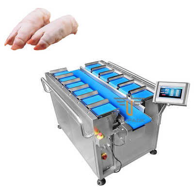Automatischer Gürtel-Mehrköpfige Kombination Waagerei Check Waagerei für Schweinefüße