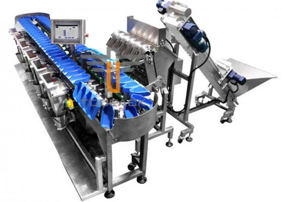 300WPM 1000g Verpackmaschine-Gewichts-sortierende Maschine Obst- und Gemüse