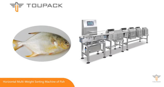 sortierende Maschine des Gewichts-500g