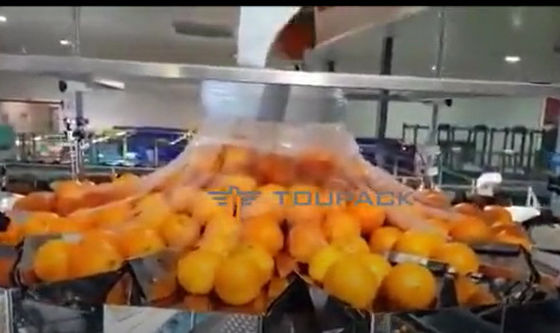 Automatische orange Obst- und GemüseVerpackmaschine mit Netz