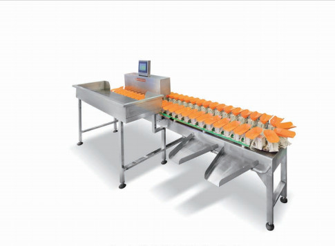 Edelstahl Multihead-Wäger-Verpackungsmaschine, die Ausrüstung sortiert