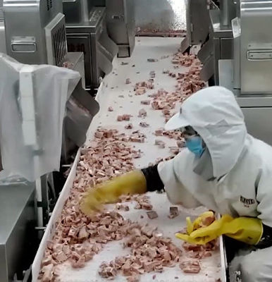 20 Tasche/Min Multihead Weigher Packing Machine für eisiges Fleisch-Knochen-Produkt