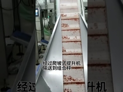 Schneiden, transportieren, sortieren, wiegen, Verpackungslösung für das frische Fleischprodukt