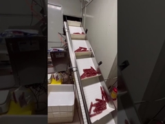 Automatisches Wiege- und Fördersystem für langgestreckte Würste, Hotdogs