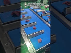 Maschine zur Verpackung von Fleisch mit mehreren Gewichten