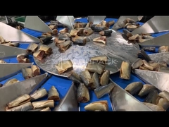 TOUPACK 14-köpfige Mehrköpfige Waage für die Fischwaage