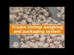 Mehrköpfige Gewichtsverpackungsmaschine für Doypack