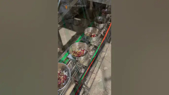 Papageienfutter-Mischung-Wiege-Verpackungslinie mit 32-Kopf-Mehrkopfwaage